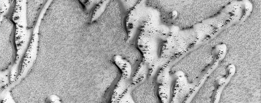 Des dunes sur substrat ciment