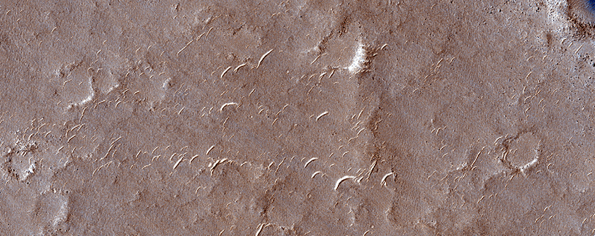 Linea di costa nella Isidis Planitia meridionale