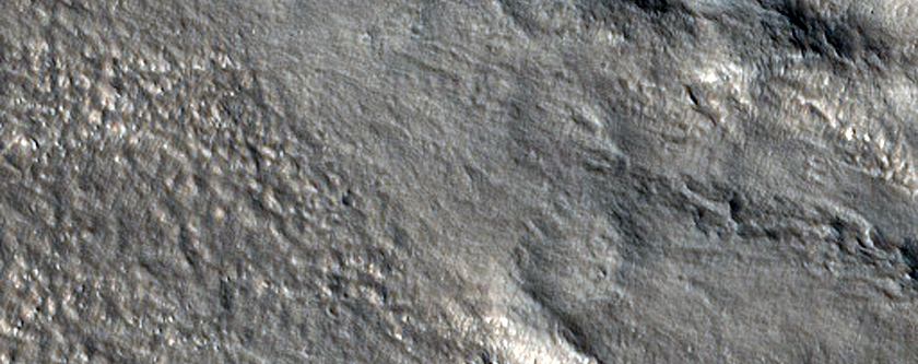 Secondaries of Very Fresh Crater