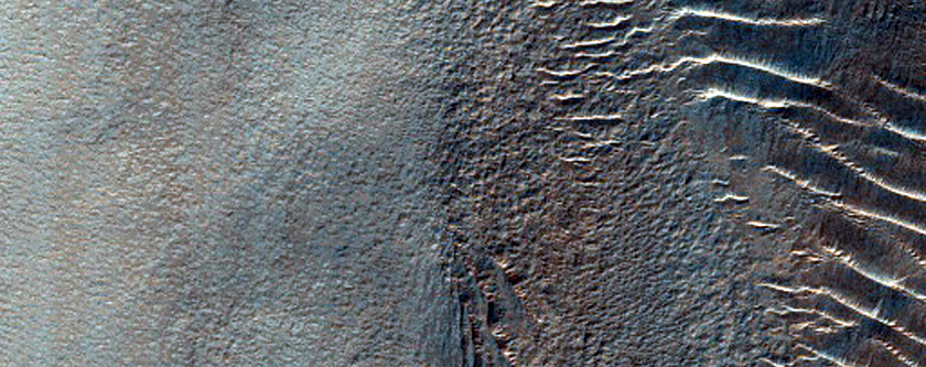 Streamlined Features in the Argyre Planitia