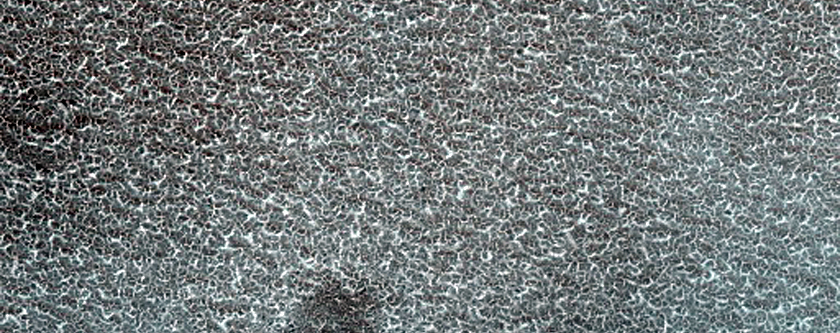 Vastitas Borealis Terrain Sample