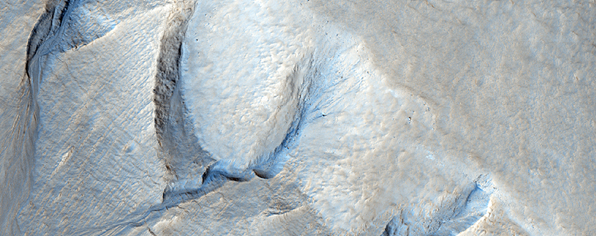 Gullies in a Thick Mantle in Mareotis Fossae Region
