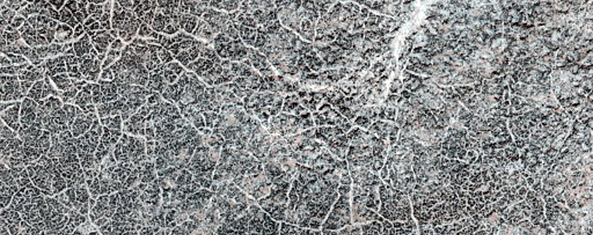 Northern Plains Defrost