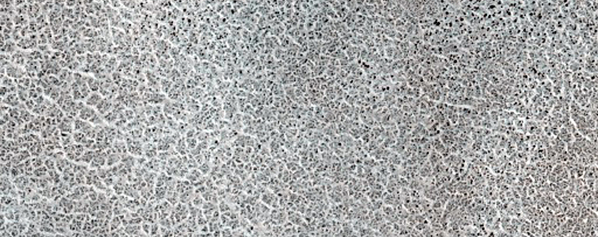 Vastitas Borealis Terrain Sample