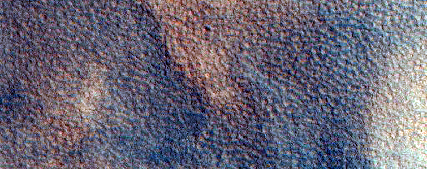 Arcadia Planitia Sample