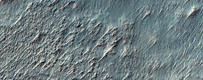 Low-Calcium Pyroxene and Olivine-Rich Crater Ejecta in Terra Sirenum