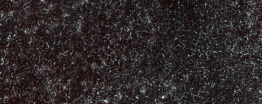 Frost Enhancement of Polygon Visibility in and Near MOC S17-01282