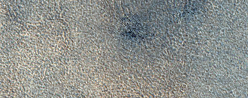 Vastitas Borealis Terrain Sample
