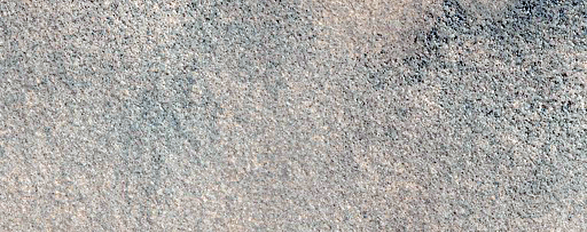 Northern Plains Sample