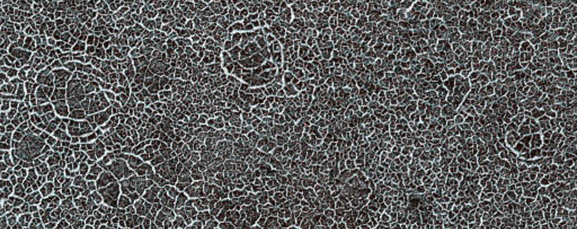 Frost Enhancement of Polygon Visibility in and Near MOC M19-00176