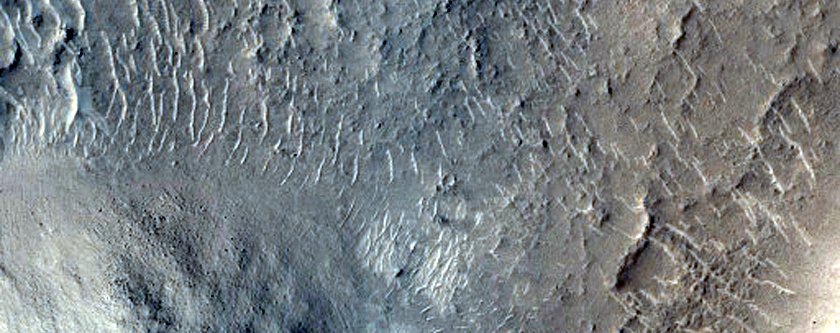 Isidis Region Boundary of Noachian Epoch Olivine-Rich Terrain