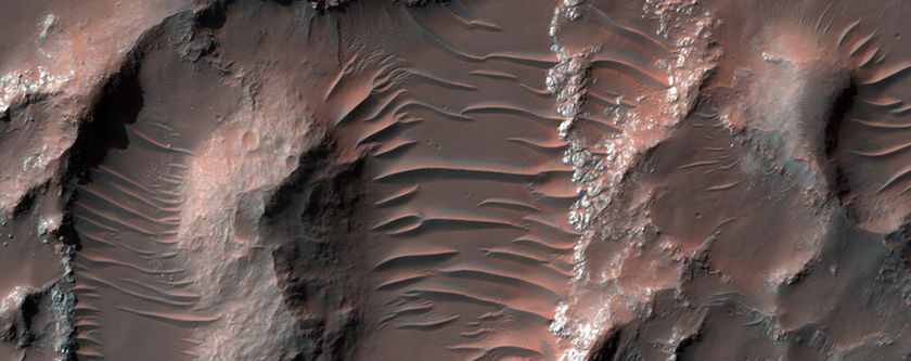 Complex Terrain East of Holden Crater