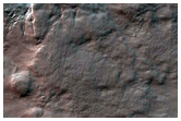 Spider Terrain
