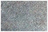 Southern Permafrost Survey

