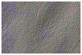 South Polar Residual Cap Spring Mosaic Campaign
