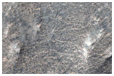 Claritas Fossae Scarp
