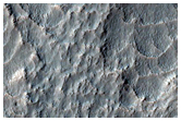 Gullies in Southern Mid-Latitude Crater
