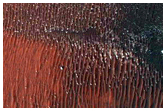 Gullies
