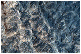 Possible Sulfate Interior Layer Deposits in Melas Chasma
