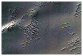 Spider Terrain
