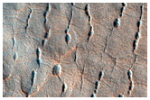 Scalloped Terrain in Utopia Planitia
