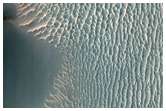 Proctor Crater Dune Changes
