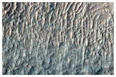 Possible Olivine-Rich Dissected Crater Floor in Terra Sirenum
