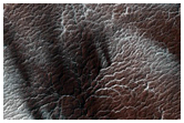 Region Informally Dubbed Manhattan Classic Spider Terrain
