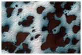 South Polar Fans
