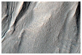Gullied Crater Wall
