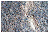 Low Sinuous Ridge on Crater Floor
