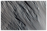 Gullies on Mound in Elysium Planitia
