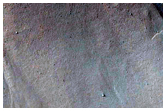 Monitor Gullies on Pole-Facing Slope in Asimov Crater
