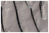 Fingerprint Terrain with Sawtooth Pattern 
