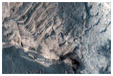 Light-Toned Stratified Materials in Melas Chasma
