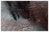 Region Informally Dubbed Manhattan Classic Spider Terrain

