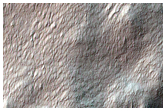 Polygons and Fans in McMurdo Crater
