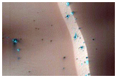 High-Latitude Active Dune-Gullies
