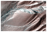 Gully Monitoring
