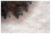 Monitor Seasonal Changes at a South Polar Cracked and Gullied Site
