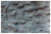 Monitor Seasonal Changes at a South Polar Cracked and Gullied Site
