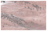 Polar Pit Gully Monitoring
