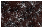 Spider Terrain
