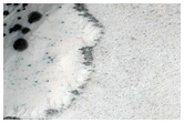 Gully Monitoring
