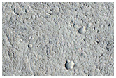 Inflationary Features Along Lava Flow Margins in Elysium Planitia
