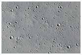 Monitoring New Impact Site
