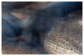 USGS Dune Database Entry Number 2481-589

