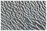 Ripples in Cerberus Region

