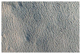 Monitoring New Impact Site