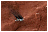 Spider Terrain